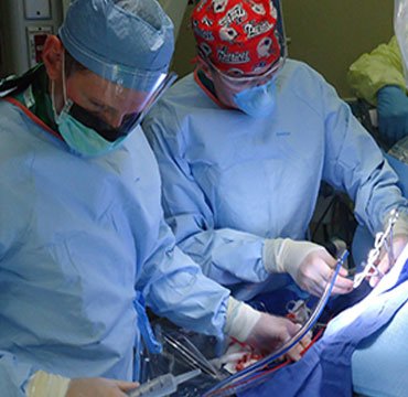 Professional medical consultations at home